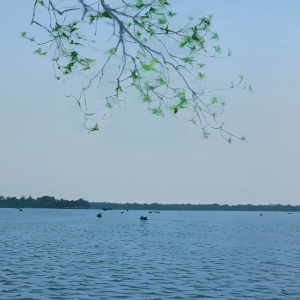 葉恒貴湖邊水景風(fēng)景油畫《風(fēng)景》欣賞