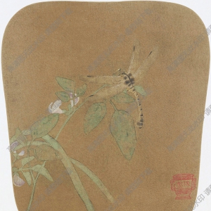 宋《豆莢蜻蜓圖》團(tuán)扇國(guó)畫高清大圖下載