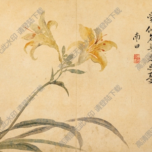 清 惲南田《花鳥(niǎo)草蟲(chóng)》-4國(guó)畫(huà)高清大圖下載