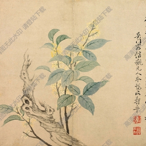 清 惲壽平《花卉-桂花》國(guó)畫高清大圖下載