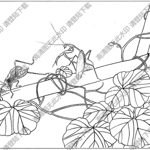 局部圖：草蟲線描畫底稿9高清大圖下載