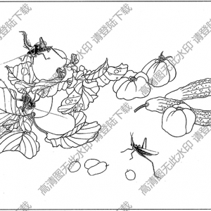 草蟲白描線稿16高清圖片下載