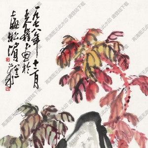 王個(gè)簃作品 菊石圖1 高清大圖下載