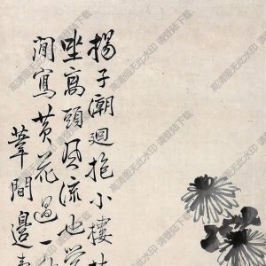 邊壽民國(guó)畫(huà) 菊花 高清大圖下載