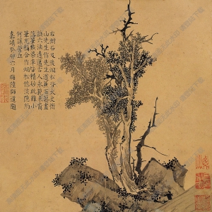 文征明國(guó)畫(huà) 樹(shù)石圖 高清大圖下載