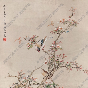 沈銓作品 花鳥 (10) 高清大圖下載