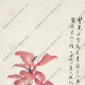 陸恢國(guó)畫(huà) 雁來(lái)紅 高清大圖下載