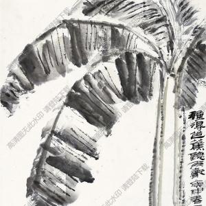 錢(qián)君匋國(guó)畫(huà) 種得芭蕉聽(tīng)雨聲 高清大圖下載