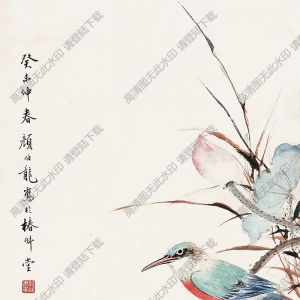 顏伯龍作品 荷花翠鳥(niǎo) 高清大圖下載