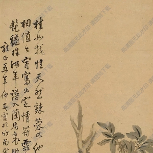 李鱓國(guó)畫(huà) 桂花芙蓉 高清大圖下載