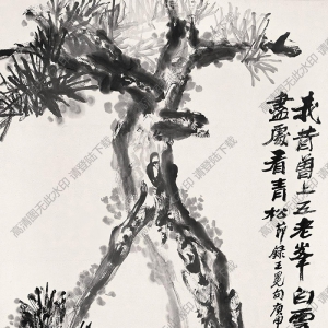 朱屺瞻國(guó)畫(huà) 松 (2) 高清大圖下載