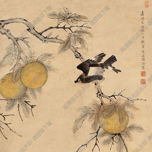 陸治國(guó)畫 花鳥 (2) 高清大圖下載