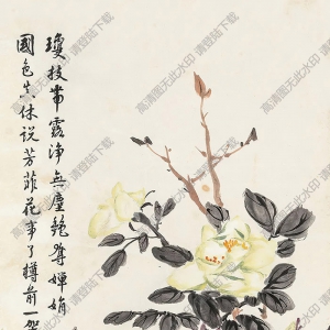 汪亞塵國(guó)畫(huà) 花卉 (1) 高清大圖下載