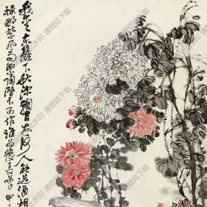 趙云壑國(guó)畫 秋菊?qǐng)D 高清大圖下載