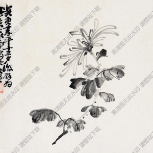 蕭俊賢國(guó)畫 菊花 (1) 高清大圖下載