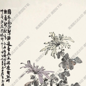 蕭俊賢國(guó)畫 菊花 (2) 高清大圖下載