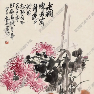 吳茀之國(guó)畫(huà) 老菊新秋 高清大圖下載