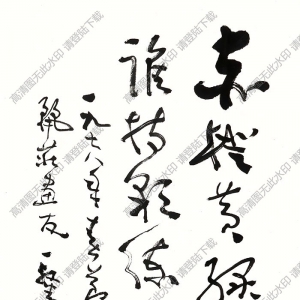 費(fèi)新我書(shū)法 草書(shū) (4) 高清大圖下載