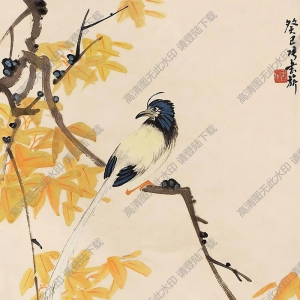 張書(shū)旗國(guó)畫 花鳥(niǎo) (9) 高清大圖下載