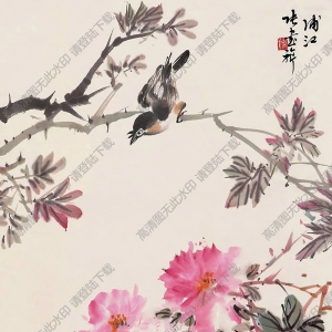 張書(shū)旗國(guó)畫 花鳥(niǎo) (11) 高清大圖下載